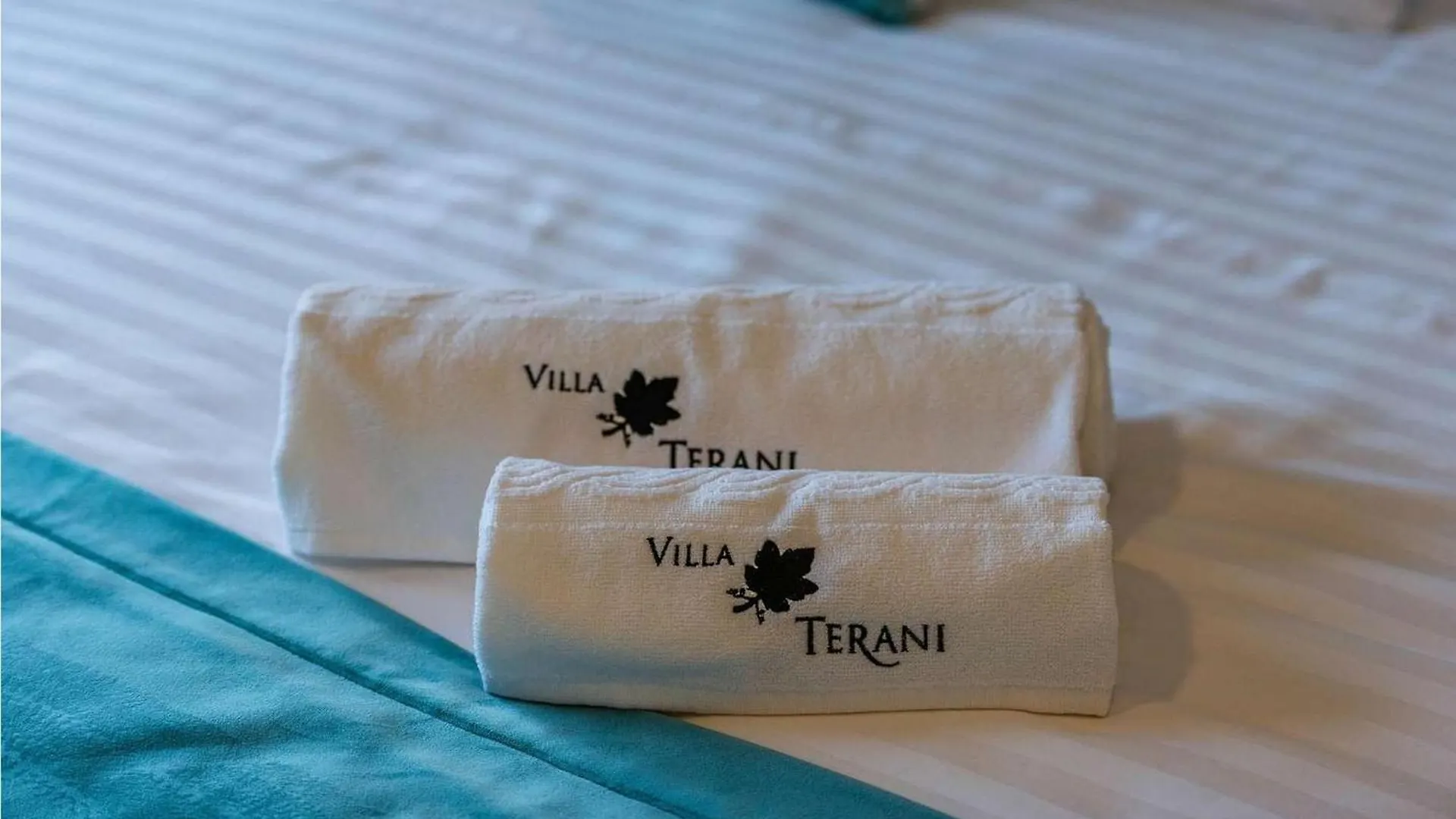 Villa Terani Rogovici 0*,